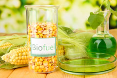Burton Upon Stather biofuel availability